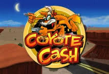 Reload Bonus Slots